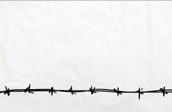 Troy Davis Campaign Animation