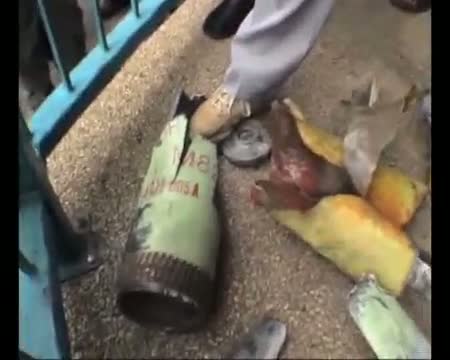 The State of the World's Human Rights 2010
