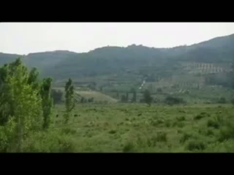 Syrians flee to Turkey as Assad steps up violent crackdown