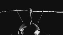 1996 campaign on landmines